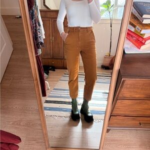 Everlane Brown Straight-Leg Pants